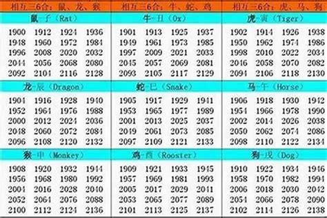 2002年出生属什么|2002年属什么生肖 2002年属什么的生肖